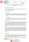 Vista preliminar de documento TDR