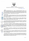 Vista preliminar de documento rd181