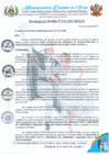 Vista preliminar de documento RA 216-2024 aprobación EXP.CONTRATACION CATALOGO ELEC.