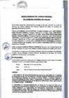 Vista preliminar de documento Acta de Sesión Ordinaria del Consejo Regional