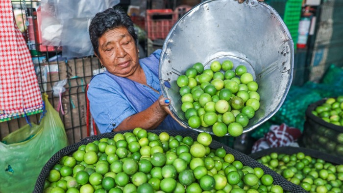 Hoy ofertas en haba, limón, frijol verde, fresa, palta, uva y otros en los mercados mayoristas