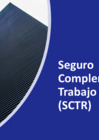 Vista preliminar de documento SCTR