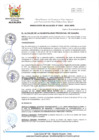 Vista preliminar de documento RA-355-2024-MPHH
