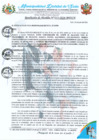 Vista preliminar de documento RA 223-2024 conformacion COMITE SELECCION COMBUSTIBLE