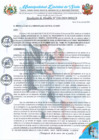 Vista preliminar de documento RA 228-2024 aprobacion BASES PROCEDIMIENTO DE SELECCION