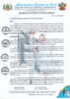 Vista preliminar de documento RA 236-2024 aprobación PLAN DIA DEL MAESTRO