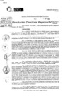 Vista preliminar de documento RDR 7095-2024