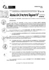 Vista preliminar de documento RDR 7096-2024