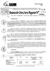 Vista preliminar de documento RDR 7104-2024