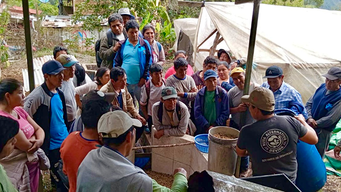 CUSCO COMITE
