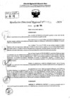 Vista preliminar de documento RDR 7130-2024