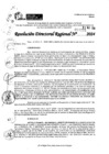 Vista preliminar de documento RDR 7131-2024