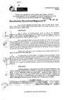 Vista preliminar de documento RDR 7133-2024