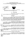 Vista preliminar de documento RDR 7149-2024