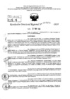 Vista preliminar de documento RDR 7156-2024