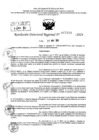 Vista preliminar de documento RDR 7158-2024