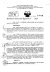 Vista preliminar de documento RDR 7161-2024