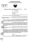 Vista preliminar de documento RDR 7171-2024