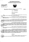 Vista preliminar de documento RDR 7174-2024
