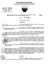 Vista preliminar de documento RDR 7175-2024