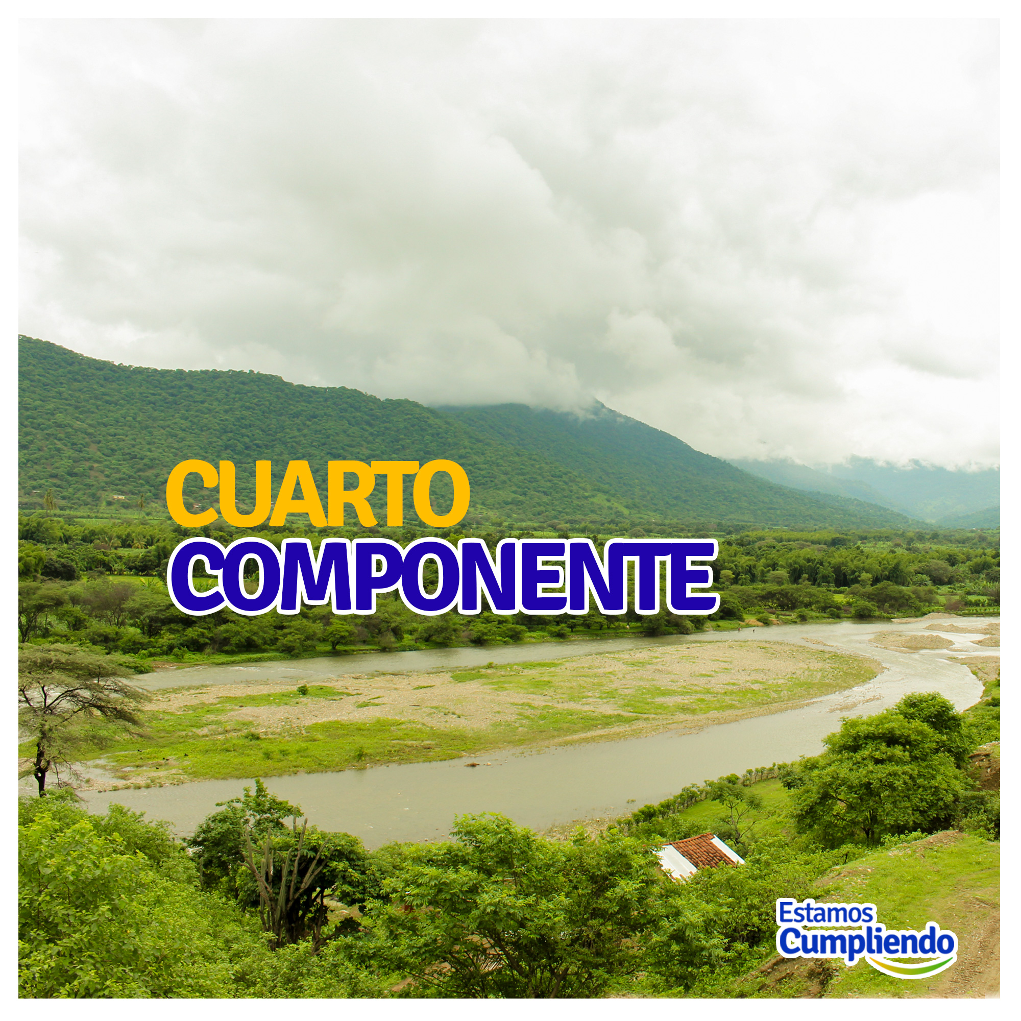 Imagen 03