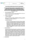 Vista preliminar de documento TDR