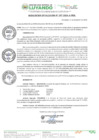 Vista preliminar de documento RESOLUCION DE ALCALDIA Nº 197-2024