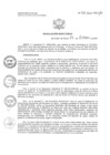 Vista preliminar de documento RD N°271-2024-HNCH-DG