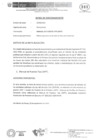 Vista preliminar de documento Manual de Puestos Tipo - MPT