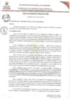 Vista preliminar de documento DAN008A-2024