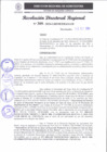 Vista preliminar de documento RDR 309-2024