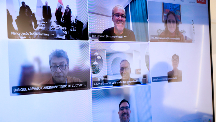 Sineace instaló Consejo Consultivo del Coneau