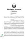 Vista preliminar de documento RD-094-2020-MIMP-OGA