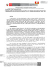 Vista preliminar de documento RDE 232-2024