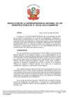 Vista preliminar de documento Resolución de la Superintendencia Nacional de los Registros Públicos N.° 146-2024-SUNARP/SN