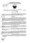 Vista preliminar de documento RDR 7431-2024