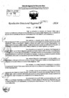 Vista preliminar de documento RDR 7432-2024