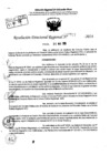 Vista preliminar de documento RDR 7727-2024