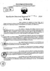Vista preliminar de documento RDR 7728-2024