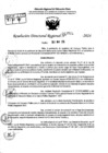 Vista preliminar de documento RDR 7731-2024