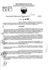 Vista preliminar de documento RDR 7732-2024