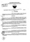 Vista preliminar de documento RDR 7738-2024