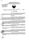 Vista preliminar de documento RDR 7741-2024
