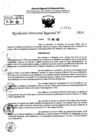 Vista preliminar de documento RDR 7744-2024