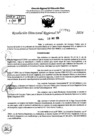 Vista preliminar de documento RDR 7745-2024