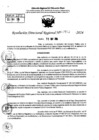Vista preliminar de documento RDR 7753-2024
