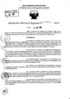 Vista preliminar de documento RDR 7757-2024
