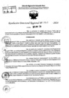 Vista preliminar de documento RDR 7767-2024