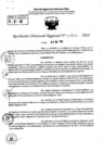 Vista preliminar de documento RDR 7768-2024