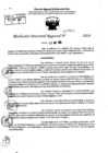 Vista preliminar de documento RDR 7770-2024
